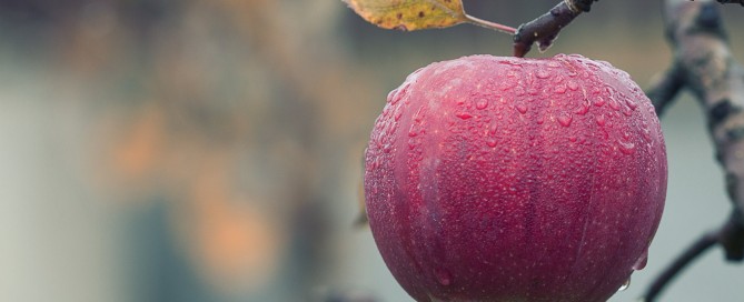 Nisa-Nashim | Jewish Muslim Women's Network