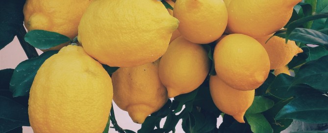 Nisa-Nashim | Jewish Muslim Women's Network