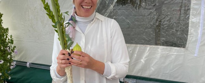 Nisa-Nashim | Jewish Muslim Women's Network