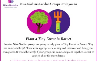 Nisa-Nashim | Jewish Muslim Women's Network