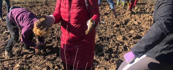 Nisa-Nashim | Jewish Muslim Women's Network