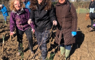 Nisa-Nashim | Jewish Muslim Women's Network