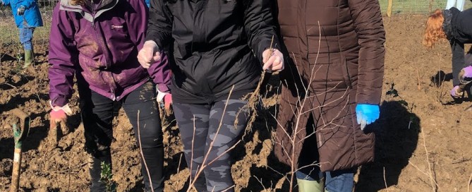 Nisa-Nashim | Jewish Muslim Women's Network