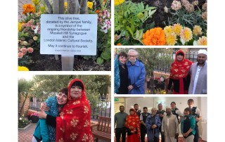 Nisa-Nashim | Jewish Muslim Women's Network